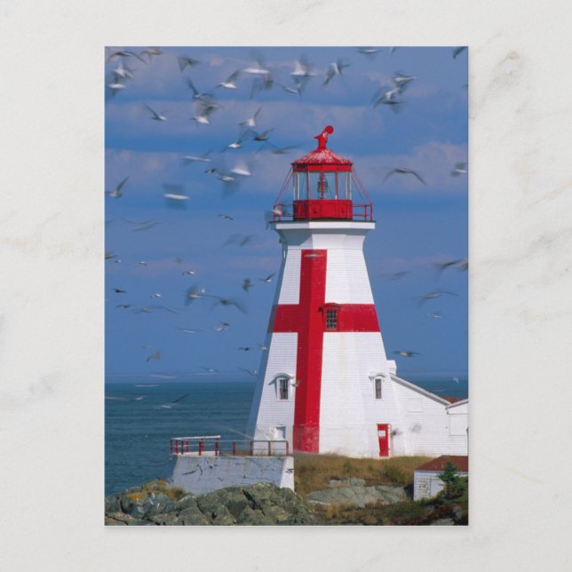 Carte Postale NA, Canada, Nouveau-Brunswick, île Campobello. 8 (Devant)