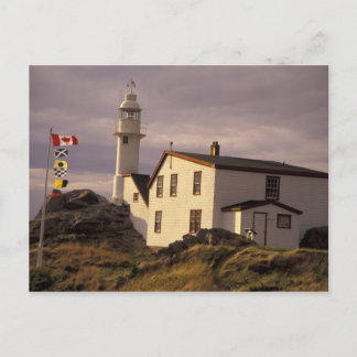 Carte Postale NA, Canada, Terre-Neuve, Lobster Cove. Homard