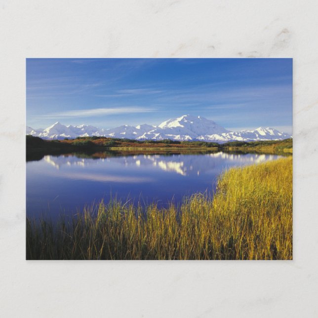 Carte Postale NA, États-Unis, Alaska, Denali NP Mt. McKinley à (Devant)