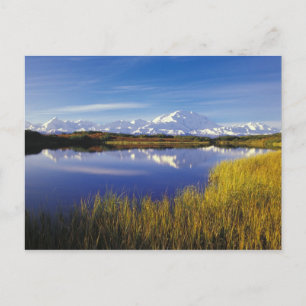 Carte Postale NA, États-Unis, Alaska, Denali NP Mt. McKinley à