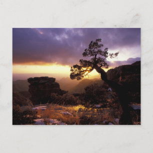 Carte Postale NA, États-Unis, Arizona, Tucson, Coucher de soleil