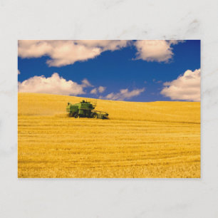 Carte Postale NA, États-Unis, État de Washington, Région de Palo