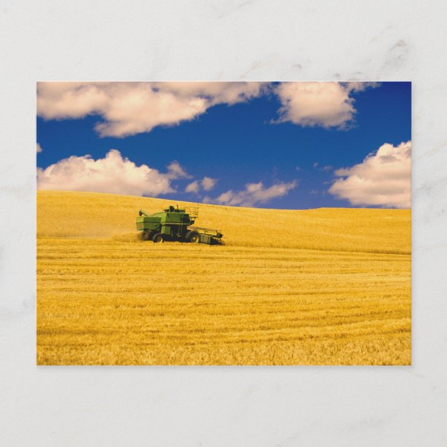 Carte Postale NA, États-Unis, État de Washington, Région de Palo (Devant)