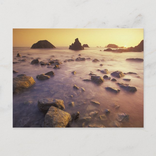 Carte Postale NA, USA, Californie du Nord, Californie, (Devant)