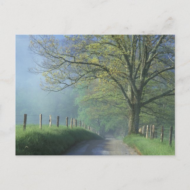 Carte Postale NA, USA, Tennessee, Cades Cove, Great Smoky (Devant)