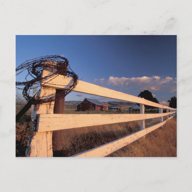 Carte Postale NA, USA, Washington, près de Walla Walla, clôture, (Devant)
