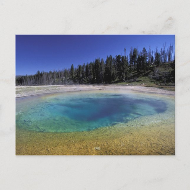 Carte Postale NA, USA, Wyoming, Yellowstone National Park. 2 (Devant)