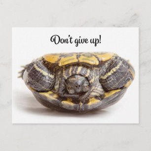 Carte Postale N'abandonnez pas les encouragements envers la tort