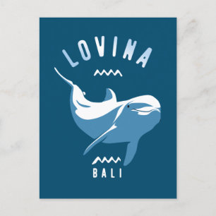 Carte Postale Nage avec Dolphins Lovina Bali