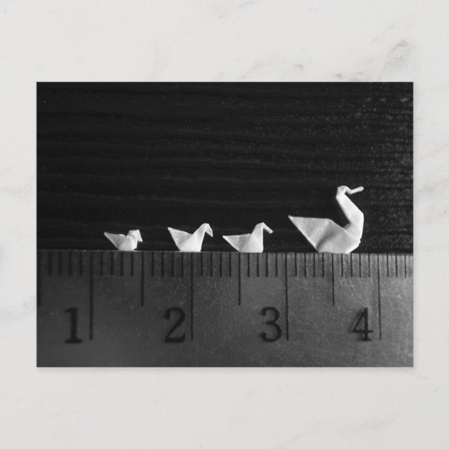 Carte Postale Nage en famille de 3 cm (Devant)