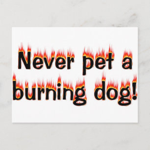 Carte Postale N'aimez jamais un chien en feu !