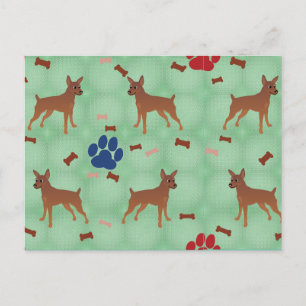 Carte Postale Nain Cartésien Pinscher