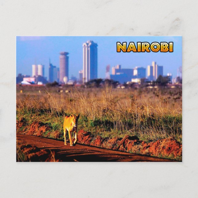 Carte postale Nairobi (Devant)