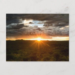 Carte Postale Namibia - Sunset over the plains postcard