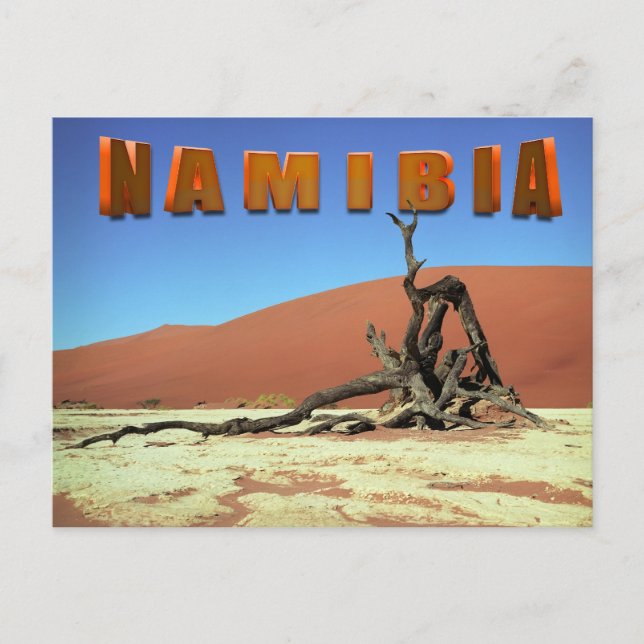 Carte Postale Namibie (Devant)