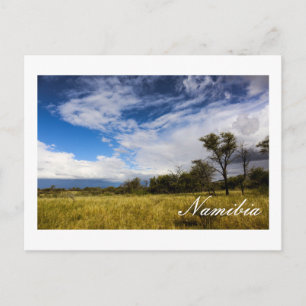 Carte Postale Namibie Afrique Paysage Nature namibienne Bushveld