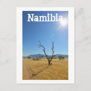 Carte Postale Namibie Marienfluss Savannah Paysage Nature