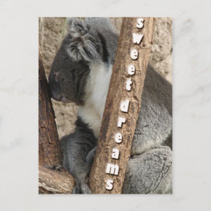 Carte Postale Nap time