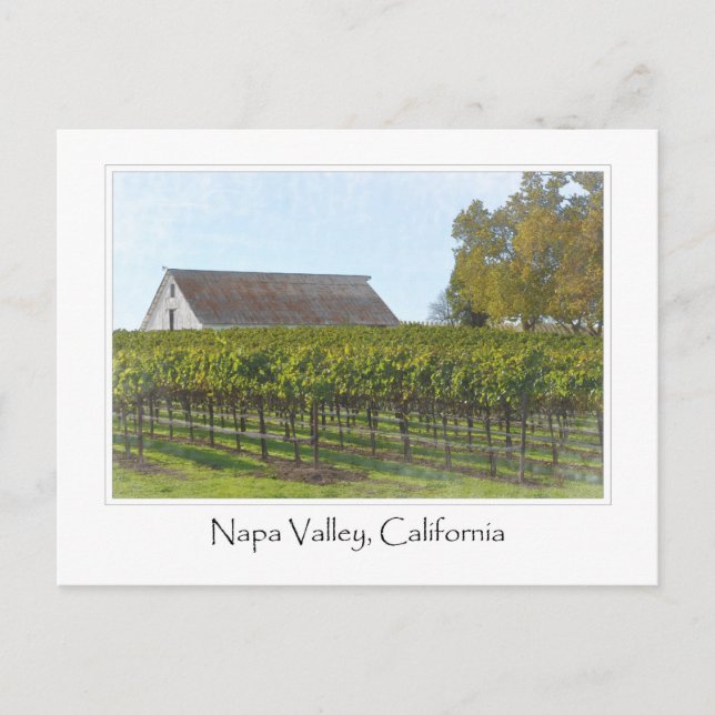 Carte Postale Napa Valley California Vineyard et Barn (Devant)
