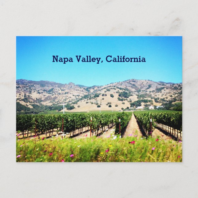 Carte postale Napa Valley, Californie (Devant)