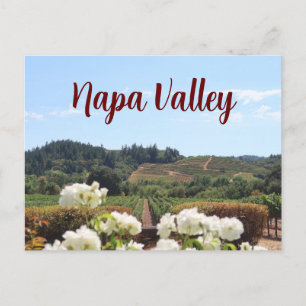 Carte Postale Napa Valley, Californie Vignobles et fleurs