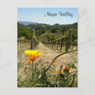 Carte Postale Napa Valley Spring