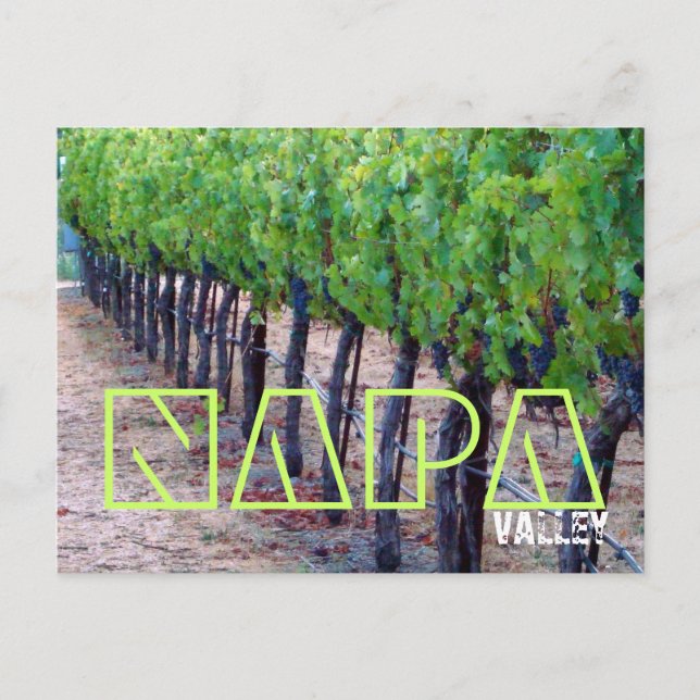 Carte postale Napa Valley (vin) (Devant)