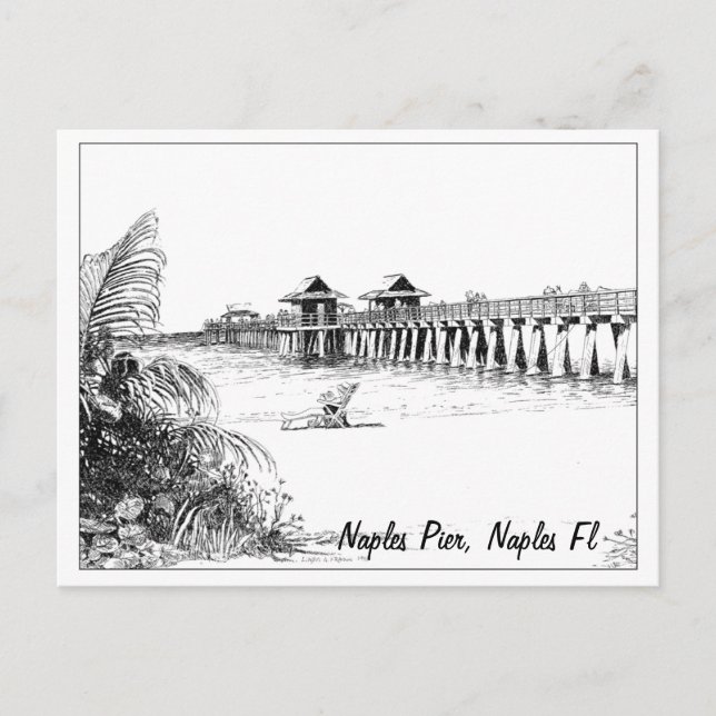 Carte Postale Naples Pier, Naples Fl (Devant)