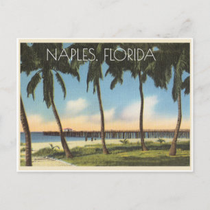 Carte Postale Naples vintage, vue sur le golfe de Floride