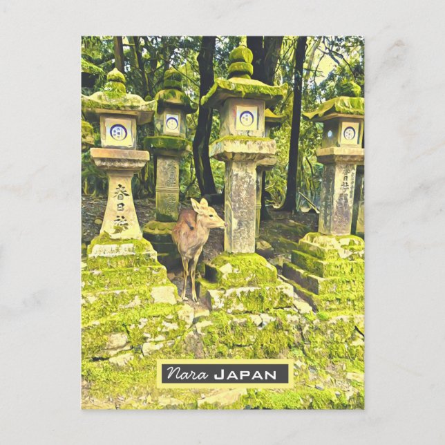 Carte Postale Nara Japan Deer park imprimé (Devant)