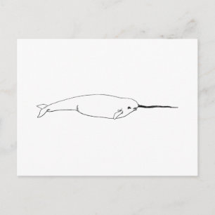 Carte Postale Narwhal (art. 500)