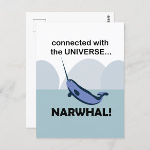 Carte Postale Narwhal Connecté À L'Univers Narwhal