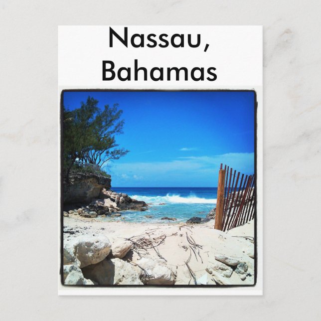 Carte Postale Nassau, Bahamas (Devant)
