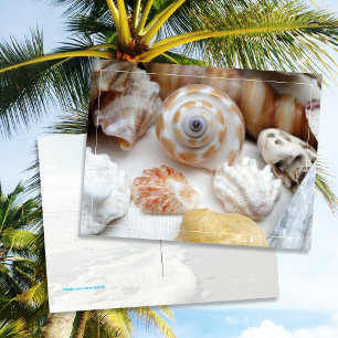 Carte postale Natica Jewel Box Kitten's Paw Seashe
