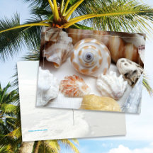 Carte postale Natica Jewel Box Patte de chat Coqui