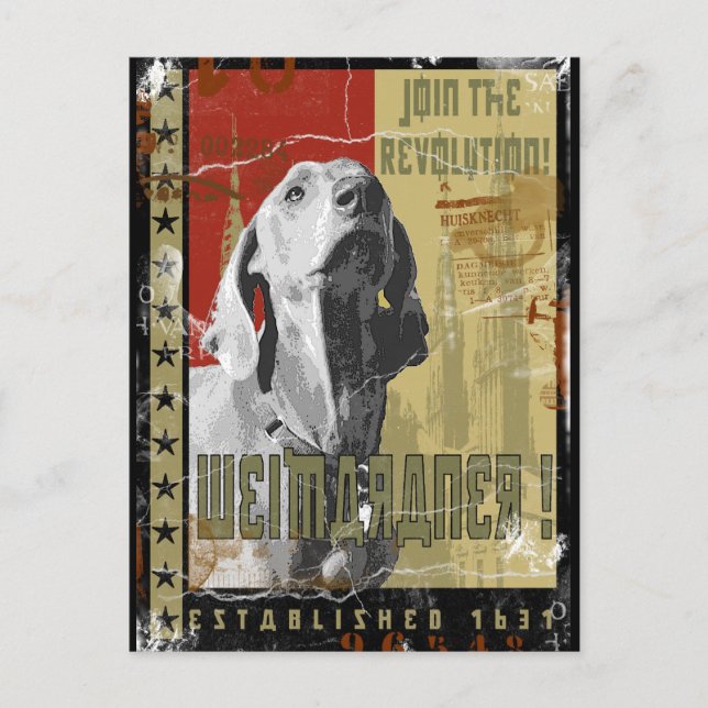 Carte Postale Nation Weimaraner : Weimaraner Vintage ! (Devant)