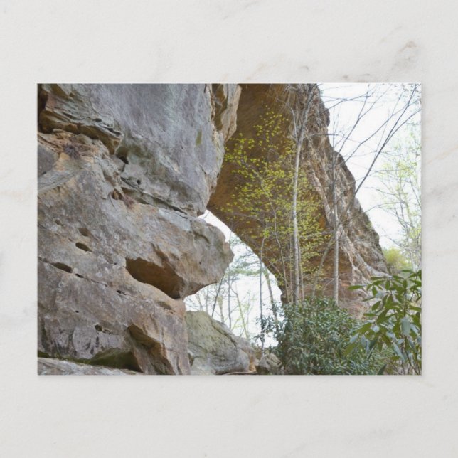 Carte postale Natural Bridge Kentucky (Devant)