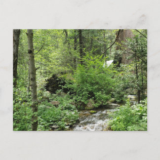 Carte postale Nature