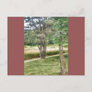 Carte Postale Nature En Beauté 2