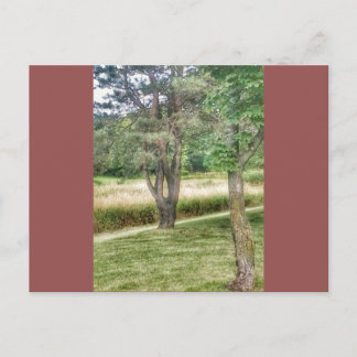 Carte Postale Nature En Beauté 2