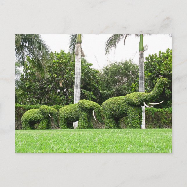 Carte postale Nature Green Elephants Jardin Sculpt (Devant)