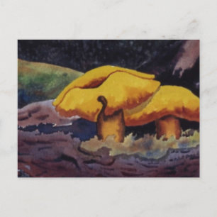 Carte postale Nature Oddities