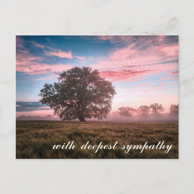 Carte Postale Nature paisible Arbre Sunset Sunrise Sympathie (Devant)