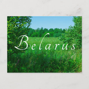 Carte Postale Nature Paysage Paysage Paysage Forêt verte