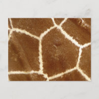 Nature Texté Photo Giraffe Poster de animal Motif