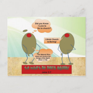 Carte Postale Né de nouveau Olives