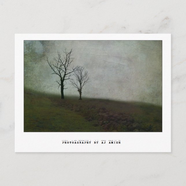 Carte Postale Ne dites pas de mots amers - (Devant)