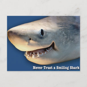 Carte Postale Ne jamais faire confiance à un requin souriant