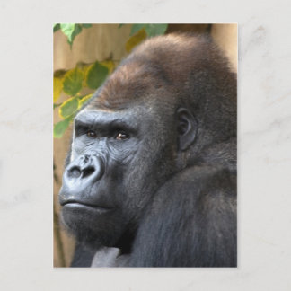 Carte Postale Ne le pensez même pas...