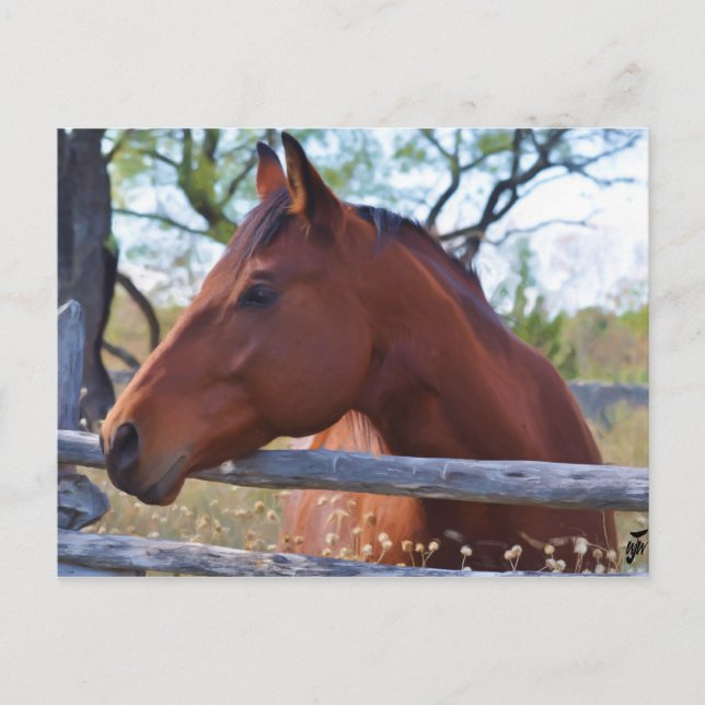 Carte Postale Ne me clôturez pas (Devant)